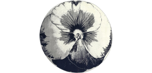 Coleção Favorit - Image 8